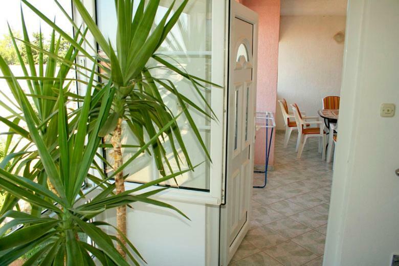 Apartments Mirjana - Stara Novalja Kültér fotó