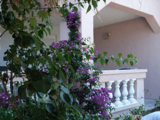 Apartments Mirjana - Stara Novalja Kültér fotó